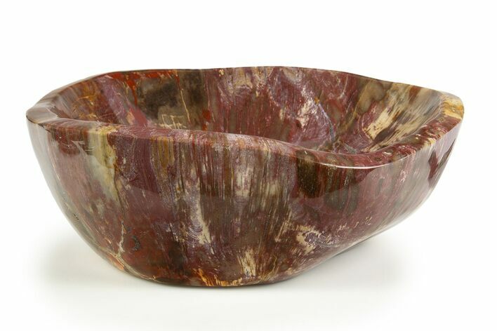 Polished Petrified Wood Bowl/Dish - Madagascar #304672